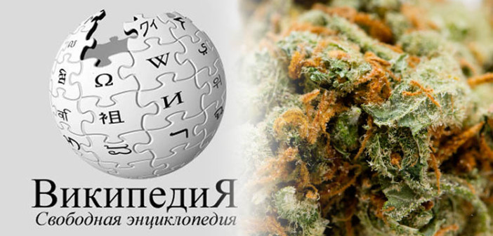 Rosja Blokuje Wikipedię za Artykuł o Marihuanie, kanabis.info
