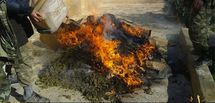ISIS Spala 50kg Marihuany, Bo Odciąga Ludzi od Woli Allaha, kanabis.info