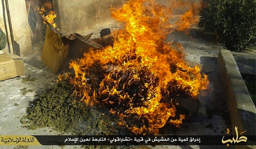 ISIS Spala 50kg Marihuany, Bo Odciąga Ludzi od Woli Allaha, kanabis.info