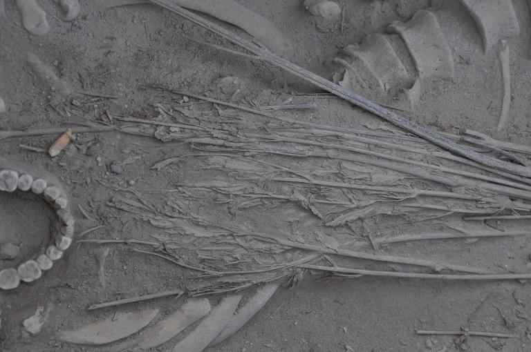 Archeolodzy Odkryli Konopie w Chińskim Grobie Mającym 2500 lat, kanabis.info